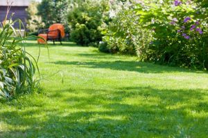 travaux jardin et paysage Paslieres